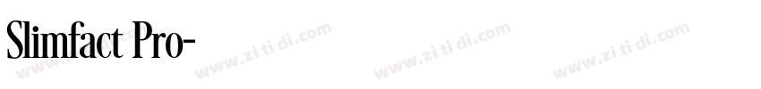 Slimfact Pro字体转换